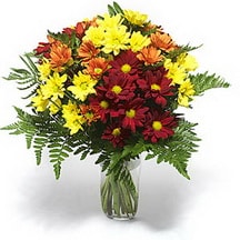 Anneye , sevgiliye her tür sevene vazo karışık mevsim çiçeği Ankara çiçek gönder firması şahane ürünümüz 