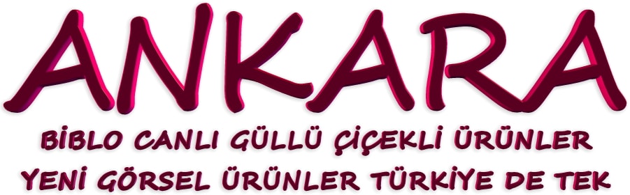 Ankara biblo çiçekli ürünler