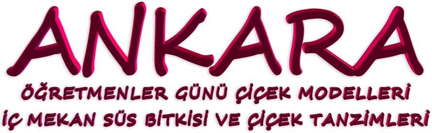 Ankara keçiören öğretmenler günü çiçek modelleri
