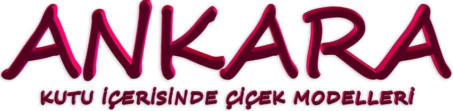 Ankara kutu içerisinde çiçek modelleri