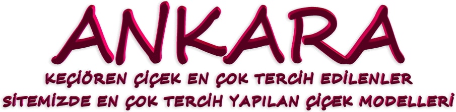 çiçek ankara çiçekçi