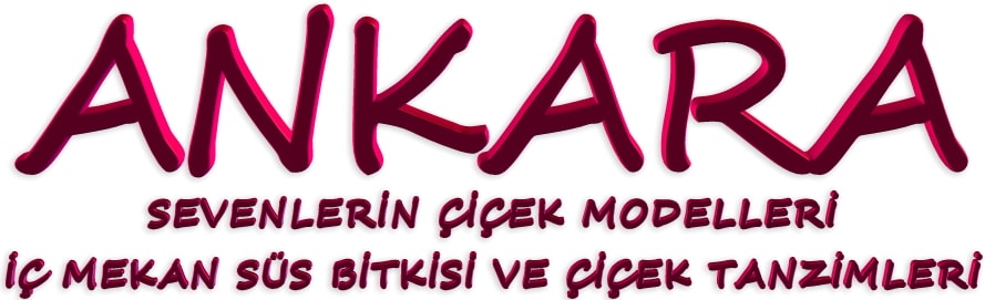 çiçekçi Ankara keçiören