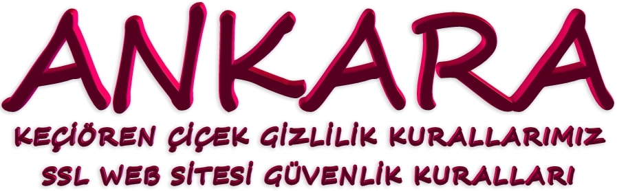 ankara çiçek ssl bilgilendirmesi