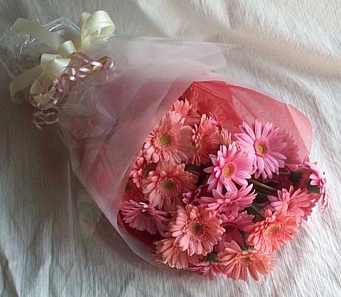 Ankara Ke�i�ren �i�ek g�nderimi site �r�n�m�z 13 adet gerbera �i�ek buketi