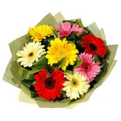 Ankara Ke�i�ren Ke�i�ren �i�ek�i firma �r�n�m�z Kar���k renkte gerbera �i�ekleri