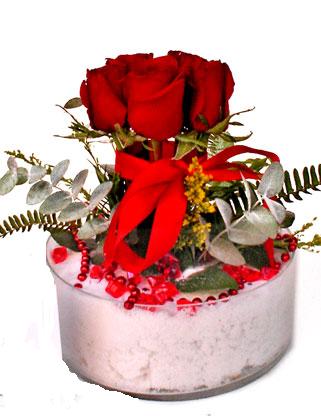 Ankara Ke�i�ren �i�ek�i sat��� sitemizden cam i�erisinde 7 adet k�rm�z� g�l Ankara �i�ek g�nder firmas� �ahane �r�n�m�z 