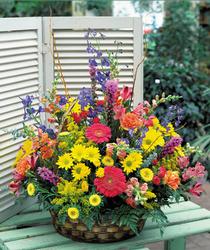 Kaliteli ve fiyat� ucuz bir �r�n �zel Kar���k mevsim sepeti �i�e�i Ankara �i�ek g�nder firmas� �ahane �r�n�m�z 