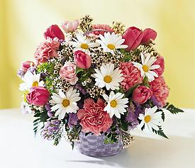 Ankara Ke�i�ren �i�ek�i d�kan� en �ok sat�lan �r�n�m�z Sepette Kar���k mevsim sepeti �i�e�i Ankara �i�ek g�nder firmas� �ahane �r�n�m�z 