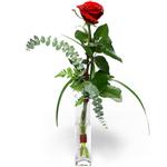 Ankara Ke�i�ren �i�ek sipari�i sitemizin g�rsel �r�n� Camda sadece tek k�rm�z� g�l Ankara �i�ek g�nder firmas� �ahane �r�n�m�z 