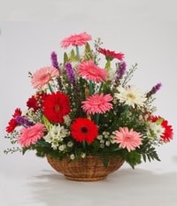 Ankara Ke�i�ren Yenimahalle �i�ek�i firma �r�n�m�z Kar���k Gerbera mevsim sepeti �i�e�i Ankara �i�ek g�nder firmas� �ahane �r�n�m�z 