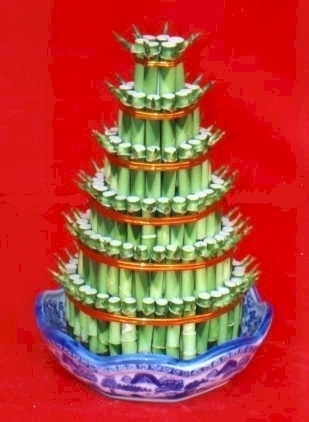 Ankara Ke�i�ren ostim �i�ek sipari�i firma �r�n�m�z Lucky Bamboo �ans mele�i �i�e�i bambu �i�e�i