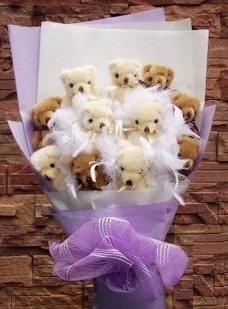 Ankara Ke�i�ren sevenlere �zel ghediyelik 11 adet ay�c�ktan pelu� oyuncak demeti 