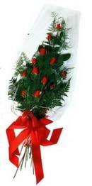 Kaliteli ve fiyat� ucuz bir �r�n g�ller ve asalet �i�e�i