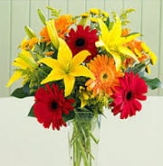 2 dal kazablanka ve 9 adet gerbera �i�ek vazosu