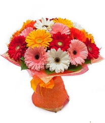 25 adet renkli gerbera buketi Ankara anneler g�n� �i�ek yolla