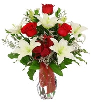 5 adet k�rm�z� g�l ve 2 dal kazablanka Ankara �i�ek sipari�i sitesi 