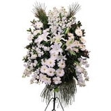 ferf�rje perf�rje d���n nikah a��l�� �i�ekleri Ankarade farkl� bir �i�ek firmas� �r�n�  